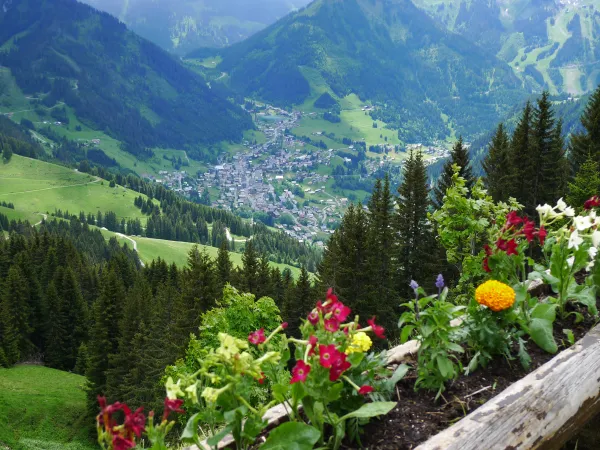 Petit Châtel