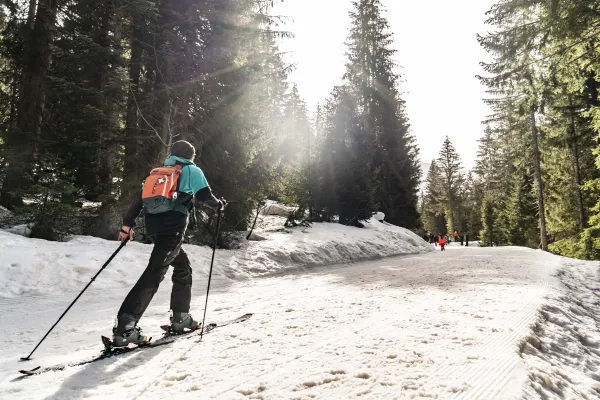 Itinéraire ski de randonnée La Serpentine