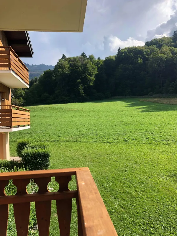 VUE DU BALCON