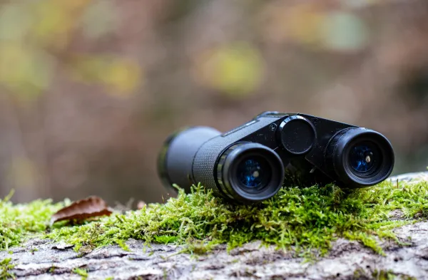 Observation grande faune_Passy