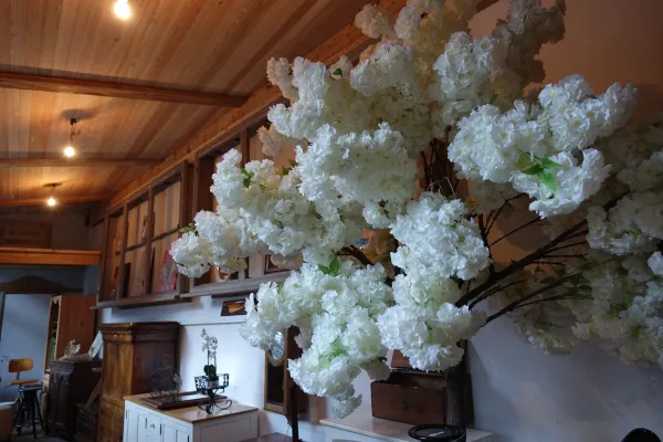 Fleurs