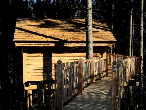 la_cabane_dans_les_arbres