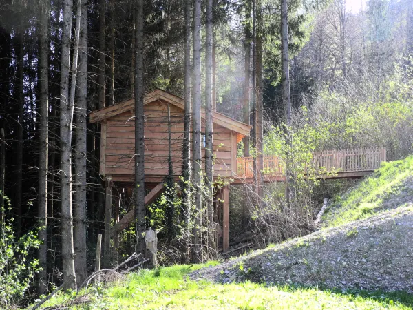la_cabane_dans_les_arbres