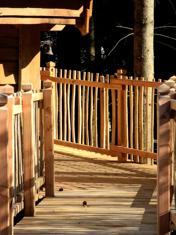 la_cabane_dans_les_arbres